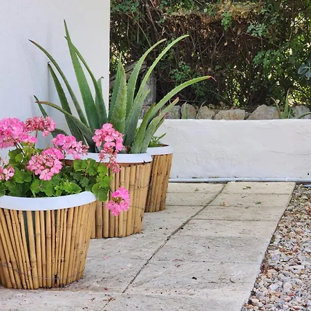 Under The Vine Garden House *