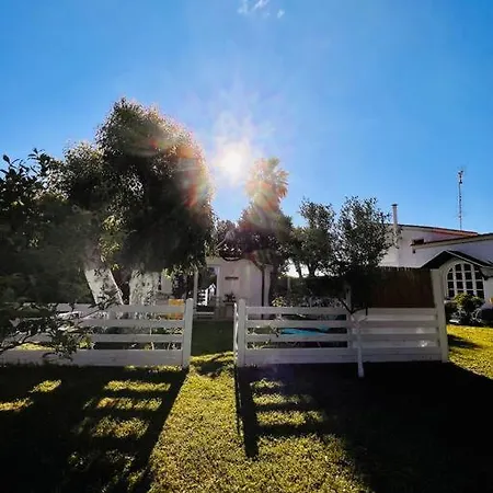 Under The Vine Garden House 아파트