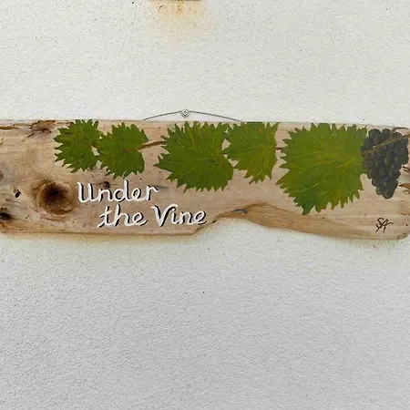 Under The Vine Garden House Platánion
