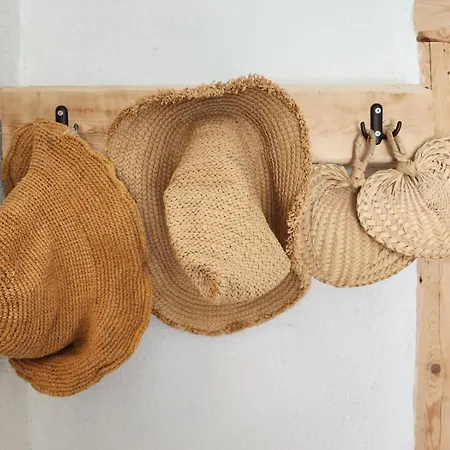 Under The Vine Garden House *