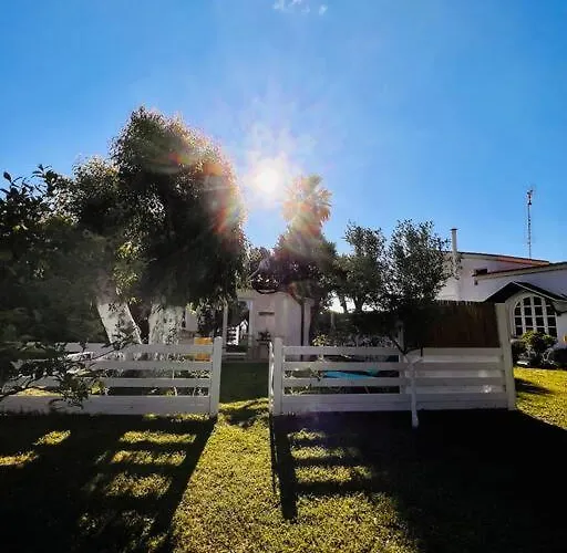 Under The Vine Garden House شقة