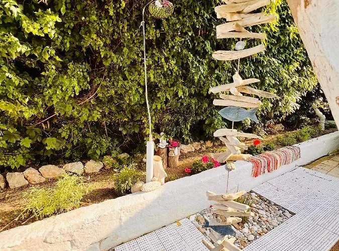 Under The Vine Garden House