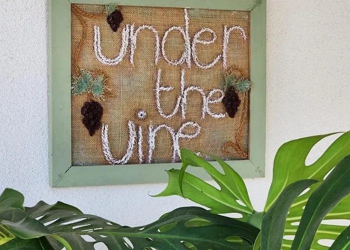 شقة Under The Vine Garden House *