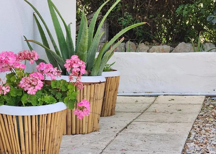 Under The Vine Garden House *