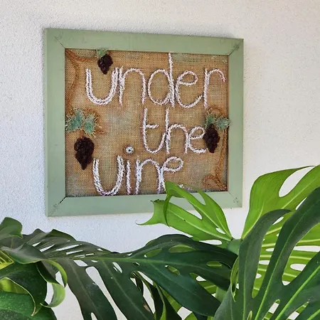 アパート Under The Vine Garden House *