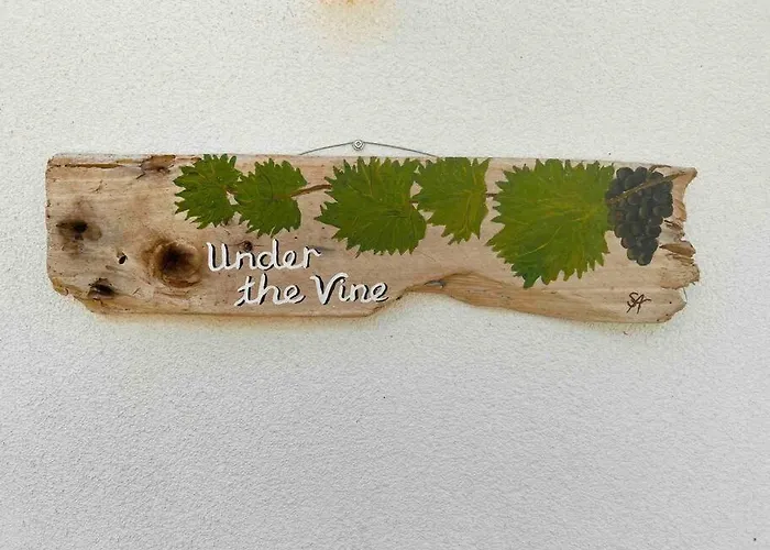 Under The Vine Garden House Platánion